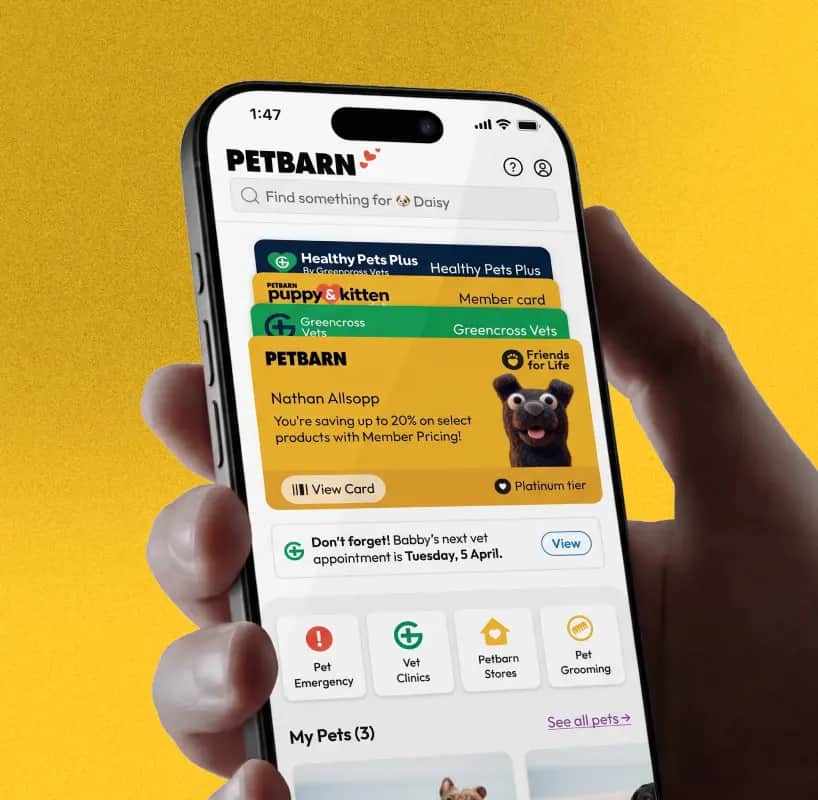 A hand holding a phone showing the Petbarn app on a yellow background